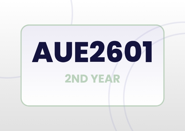 Auditing Theory and Practice